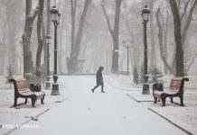 Україну накриють снігопади і посиляться морози: прогноз погоди на завтра