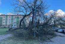 Латвію накрив сильний ураган: літаки не можуть приземлитися