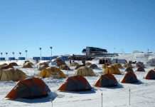 В Антарктиді на дослідницькій станції стався спалах коронавірусу