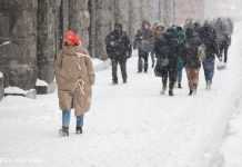 В Україну йде значне похолодання: синоптики назвали дату