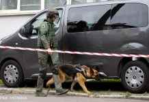 ТЦ і супермаркети: у Харкові перевіряють масове мінування