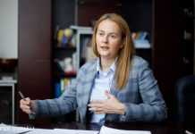 Глава ДМС описала “ідеального мігранта” для України