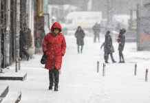 Мокрий сніг по всій країні та штормовий вітер: прогноз погоди на сьогодні