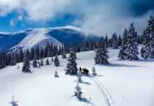 У Львівській області за добу травмувалися 5 лижників, серед них 4 дітей