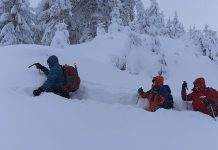 У Карпатах – сніголавинна небезпека та обмежена видимість: попередження синоптиків