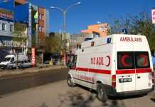 У Туреччині – ослаблення карантину: тести більше не потрібні невакцинованим