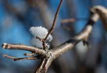 В Україну йде потепління: синоптик назвала дату