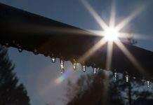 Температура повітря, як у квітні: найтепліший початок року зафіксували в Європі