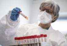 Вчені з Китаю заявили про новий коронавірус в ПАР