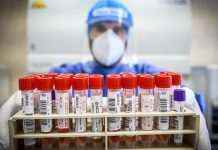 Штам “Омікрон” може покласти край пандемії COVID-19, – вчені