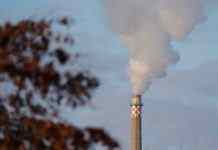 The Guardian: щоб зупинити руйнування навколишнього середовища потрібні термінові і комплексні дії