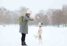 Закриті школи та кинуті авто: Велику Британію накрив сильний снігопад