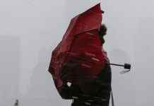 Мокрий сніг і потепління: прогноз погоди на завтра