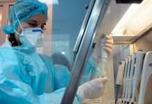 Внаслідок забруднення зразка: ВООЗ про можливість виникнення “Дельтакрону”