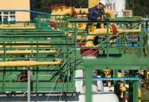 Україна збільшить залежність від імпорту газу внаслідок держрегулювання цін, – ПЕАУ