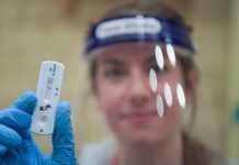 Данія пом’якшує карантин на тлі рекордної кількості COVID-випадків