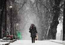 Снігопад по усій Україні та легке потепління: погода на завтра