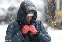 Сильний вітер та мокрий сніг. В Україні потеплішає, але оголошено штормове попередження