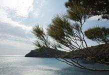 В окупованому Криму провели навчання з перехоплення низьколітаючих і малошвидкісних цілей