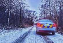 Жовтий рівень: у Київській області очікується сильний вітер та ожеледиця