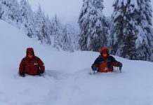 На Закарпатті на дорогу зійшли дві лавини