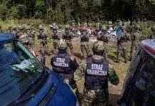 У Польщі з початку року запобігли понад 500 спробам нелегального перетину кордону з Білорусі