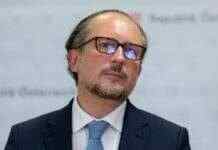 Глава МЗС Австрії виступив проти вступу України до ЄС