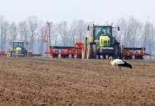 Урожай зернових в Україні через вторгнення РФ скоротиться на 20%, – британська розвідка