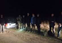 Їхали до “бабусі”. В Одеській області чоловіки намагалися покинути Україну в багажнику авто