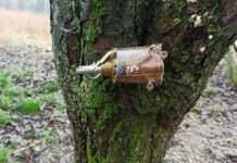 Окупанти залишили в Київській області масу смертельних “сюрпризів”, – МВС