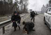 З початку війни 7 тисяч людей оголошені зниклими безвісти, знайшли тільки половину, – МВС