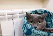 У Львові відзавтра завершується опалювальний сезон