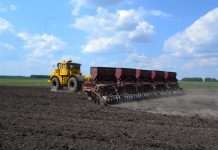 Мінагрополітики прогнозує скорочення площ під посівну на чверть