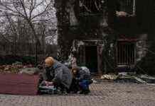 Німеччина виділить 37 млн євро на відновлення України, – ЗМІ