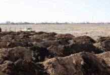 Супутники виявили під Маріуполем третю братську могилу