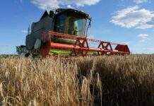 Кабмін запланував засіяти 70% посівних площ