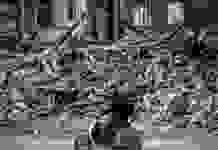 Обстріли в Харківській області: за день вісім людей загинули, 19 – поранені