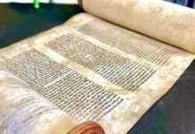 Окупанти в Маріуполі видають вкрадені музейні експонати за здобуті в бою трофеї, – мерія