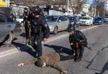 У Києві за дві доби виявили 16 ворожих ДРГ