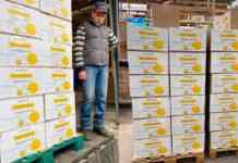 Жителі Покровська отримали вже понад 2 тисячі наборів гуманітарної допомоги, – Требушкін