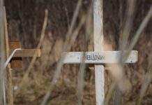 У Київській області виявили тіла 900 українців, вбитих окупантами. Найбільше жертв в Бучі