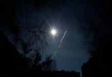 ЗСУ знищили безпілотник окупантів, який здійснював розвідку в Одесі