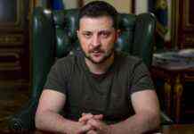 Зеленський домовився з канцлером Австрії про лікування українських військових