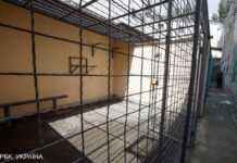 Окупанти захопили одну з колоній Херсонської області. В ній розмістили солдат і техніку