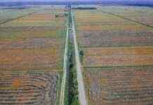 Земельні відносини під час війни: як працює процедура передачі земель