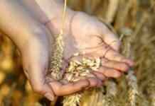 Страшніше за енергетичну кризу. У Британії стурбовані зростанням цін на продовольство