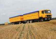 З початку війни з України в РФ вивезено близько 500 тисяч тонн зерна, – Мінагрополітики