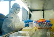 Перші випадки захворювання віспою мавп підтверджені в Канаді