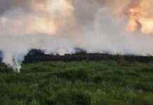 Росія завдала шкоди навколишньому середовищу Луганської області на десятки мільярдів