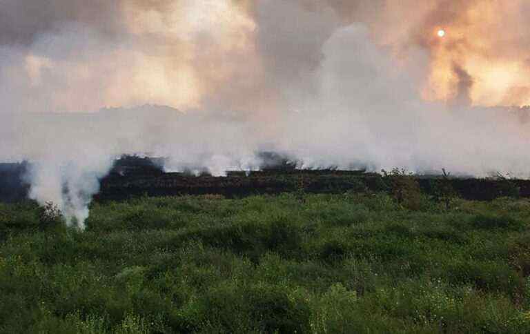 Росія завдала шкоди навколишньому середовищу Луганської області на десятки мільярдів